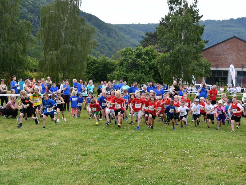 Start Kinder